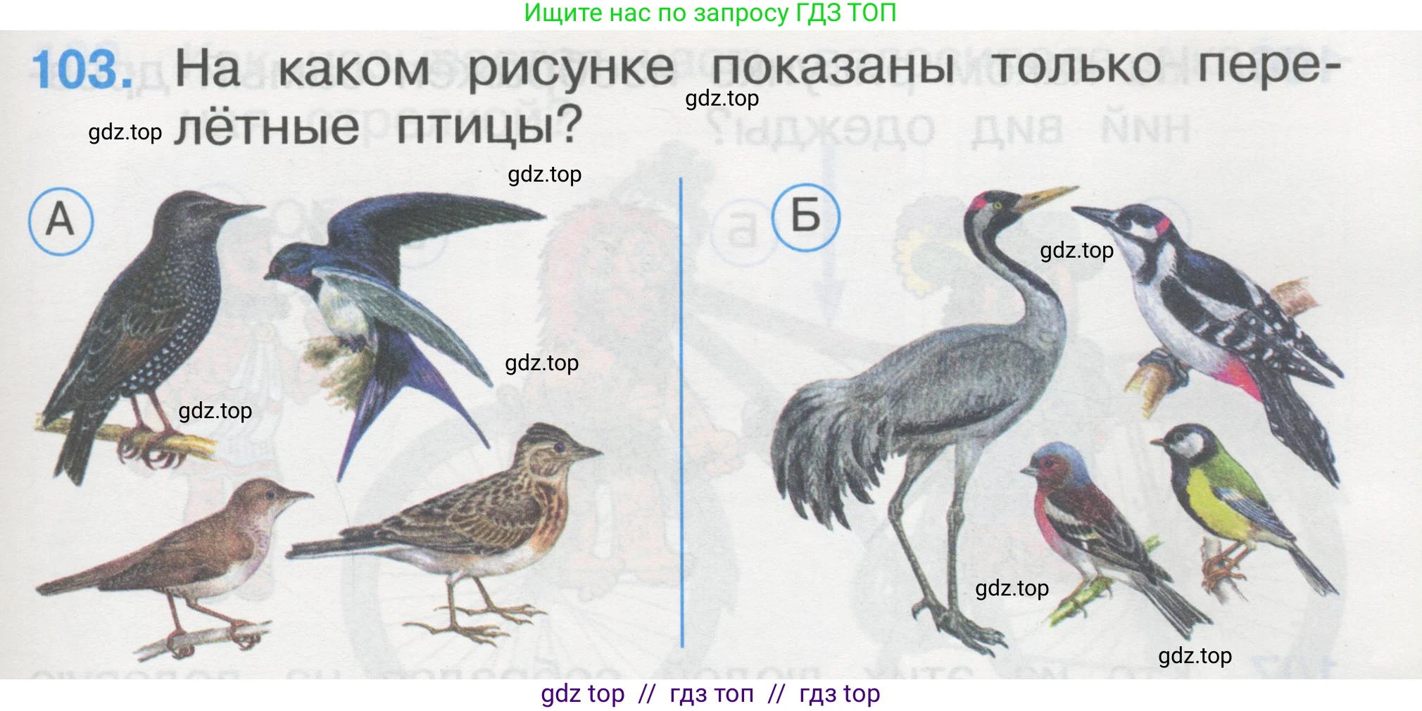 Окружающий мир, 1 класс Тесты, авторы: Плешаков Андрей Анатольевич, Гара Наталья Николаевна, Назарова З Д, издательство Просвещение, Москва, 2015, белого цвета, страница 37, номер 103, Условие