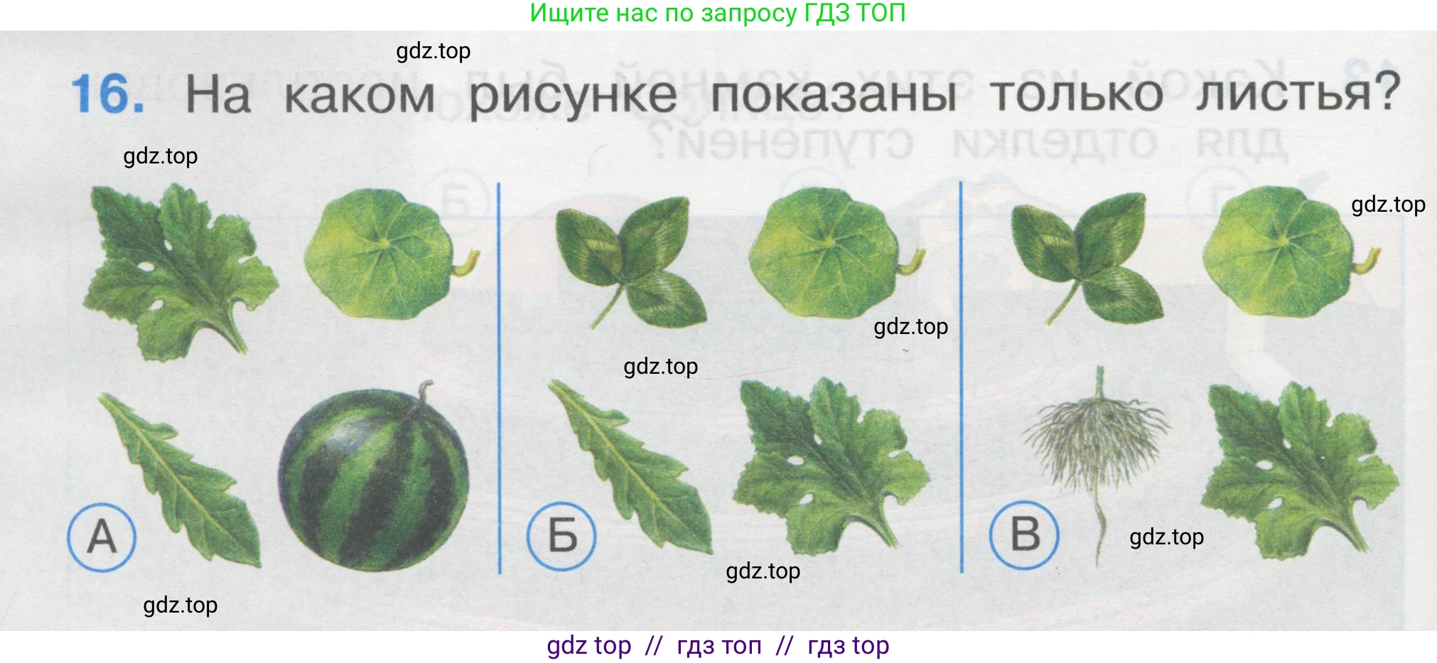 Окружающий мир, 1 класс Тесты, авторы: Плешаков Андрей Анатольевич, Гара Наталья Николаевна, Назарова З Д, издательство Просвещение, Москва, 2015, белого цвета, страница 8, номер 16, Условие