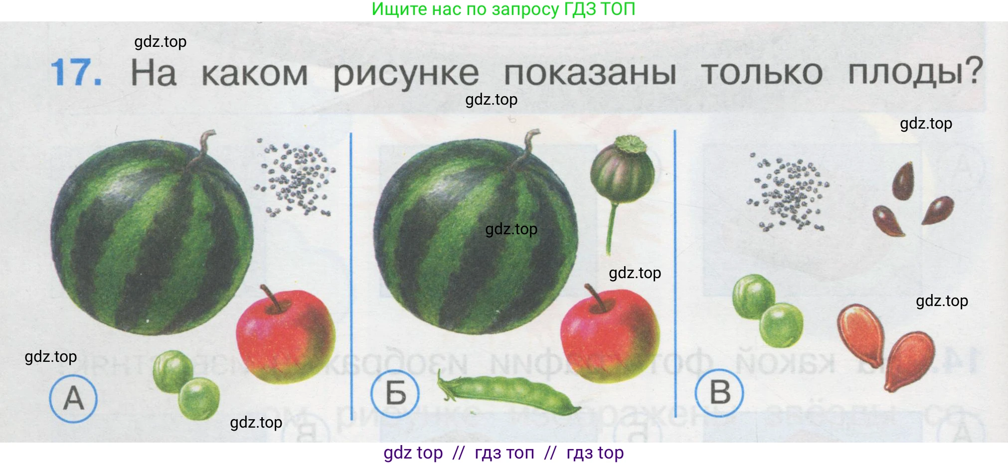 Окружающий мир, 1 класс Тесты, авторы: Плешаков Андрей Анатольевич, Гара Наталья Николаевна, Назарова З Д, издательство Просвещение, Москва, 2015, белого цвета, страница 8, номер 17, Условие