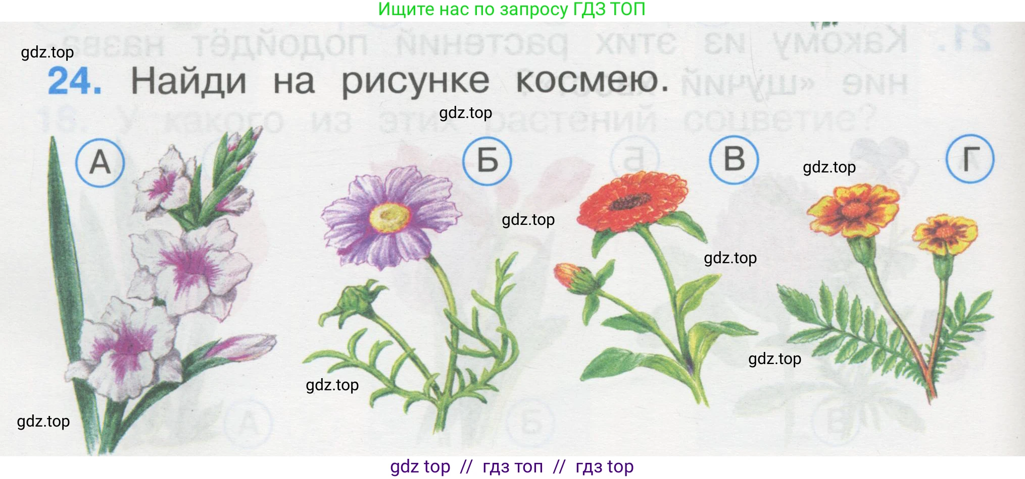 Окружающий мир, 1 класс Тесты, авторы: Плешаков Андрей Анатольевич, Гара Наталья Николаевна, Назарова З Д, издательство Просвещение, Москва, 2015, белого цвета, страница 10, номер 24, Условие