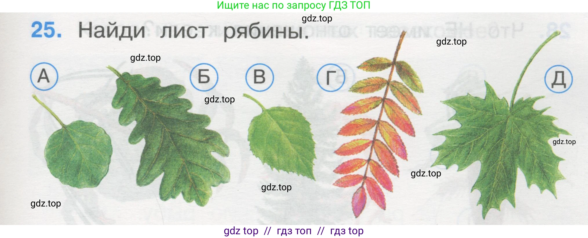 Окружающий мир, 1 класс Тесты, авторы: Плешаков Андрей Анатольевич, Гара Наталья Николаевна, Назарова З Д, издательство Просвещение, Москва, 2015, белого цвета, страница 11, номер 25, Условие