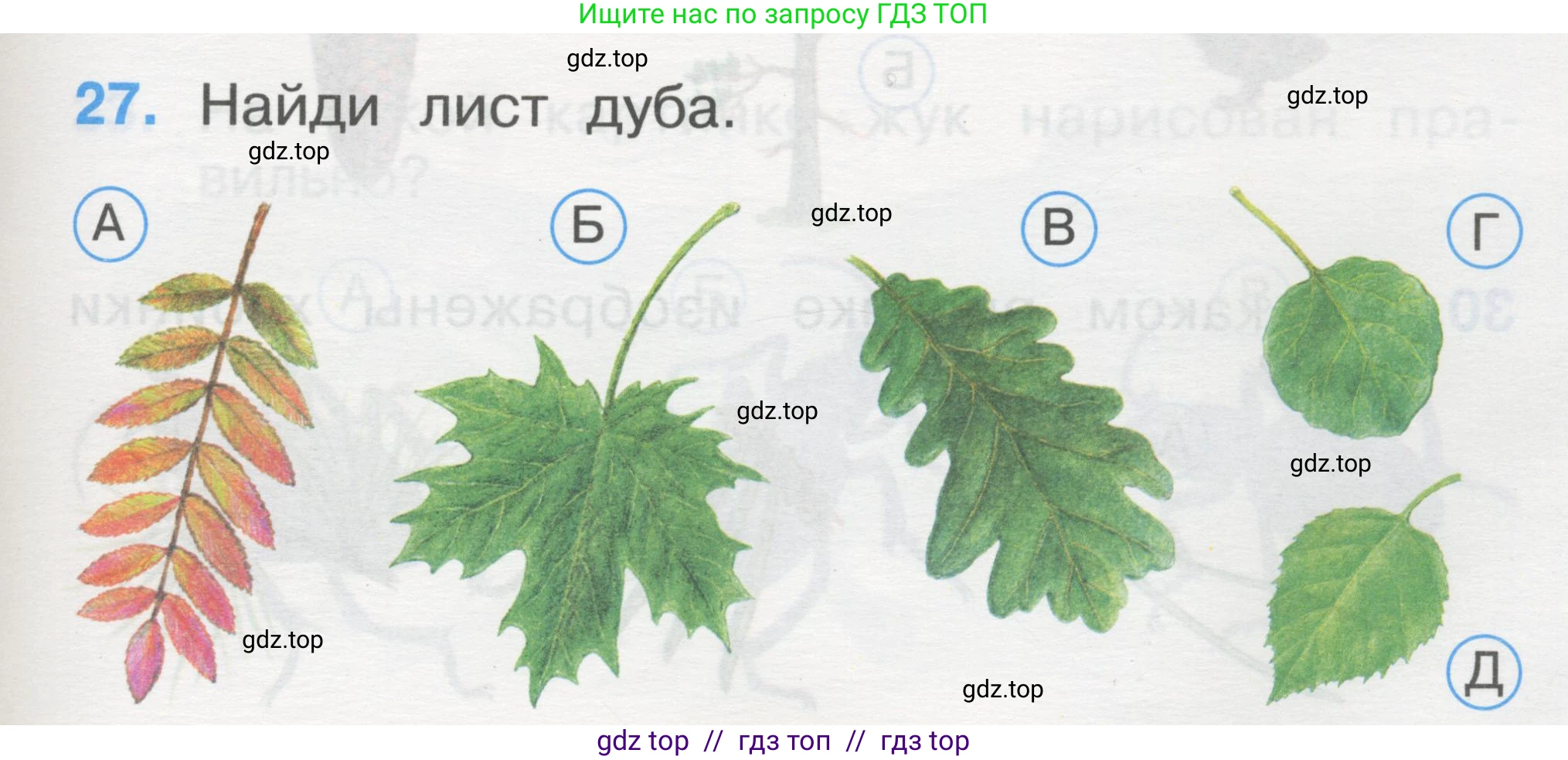 Окружающий мир, 1 класс Тесты, авторы: Плешаков Андрей Анатольевич, Гара Наталья Николаевна, Назарова З Д, издательство Просвещение, Москва, 2015, белого цвета, страница 11, номер 27, Условие
