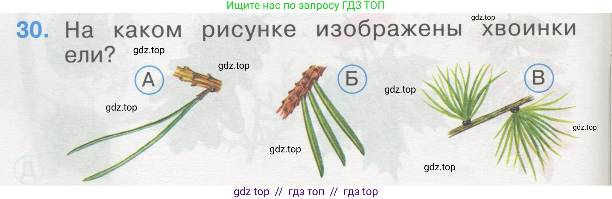 Окружающий мир, 1 класс Тесты, авторы: Плешаков Андрей Анатольевич, Гара Наталья Николаевна, Назарова З Д, издательство Просвещение, Москва, 2015, белого цвета, страница 12, номер 30, Условие