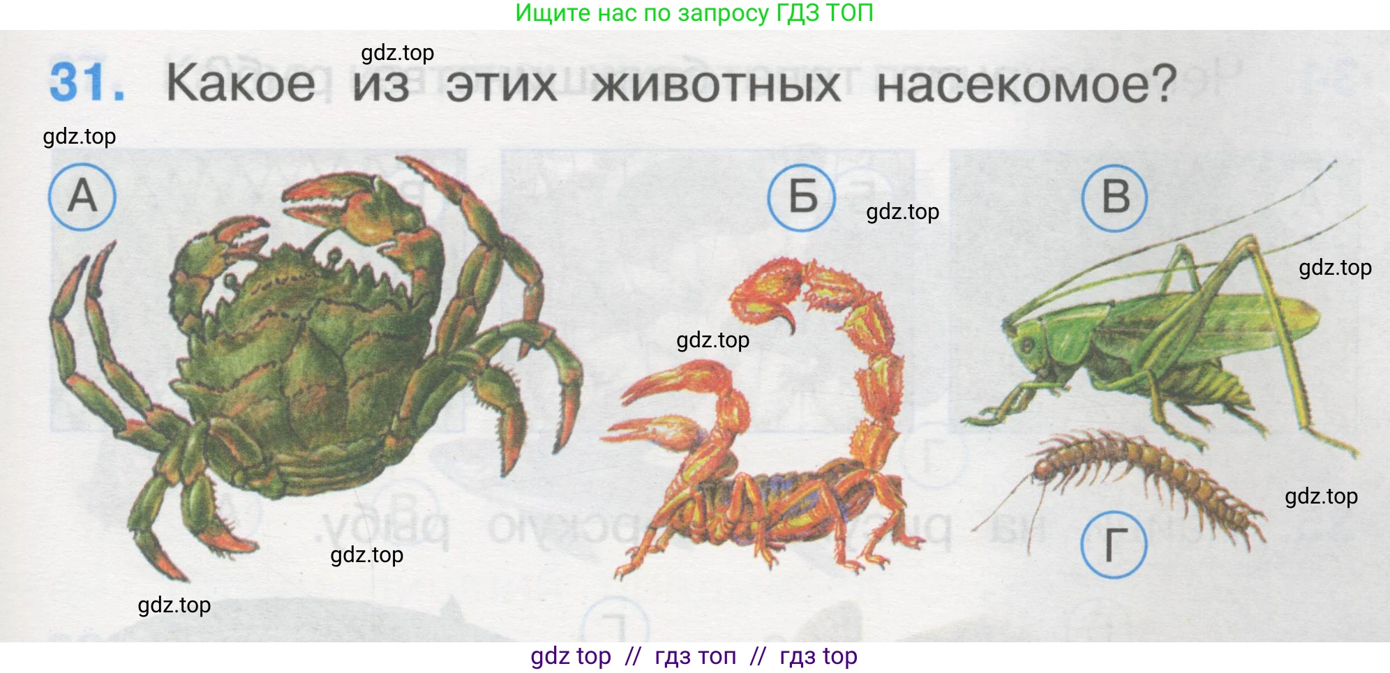 Окружающий мир, 1 класс Тесты, авторы: Плешаков Андрей Анатольевич, Гара Наталья Николаевна, Назарова З Д, издательство Просвещение, Москва, 2015, белого цвета, страница 13, номер 31, Условие