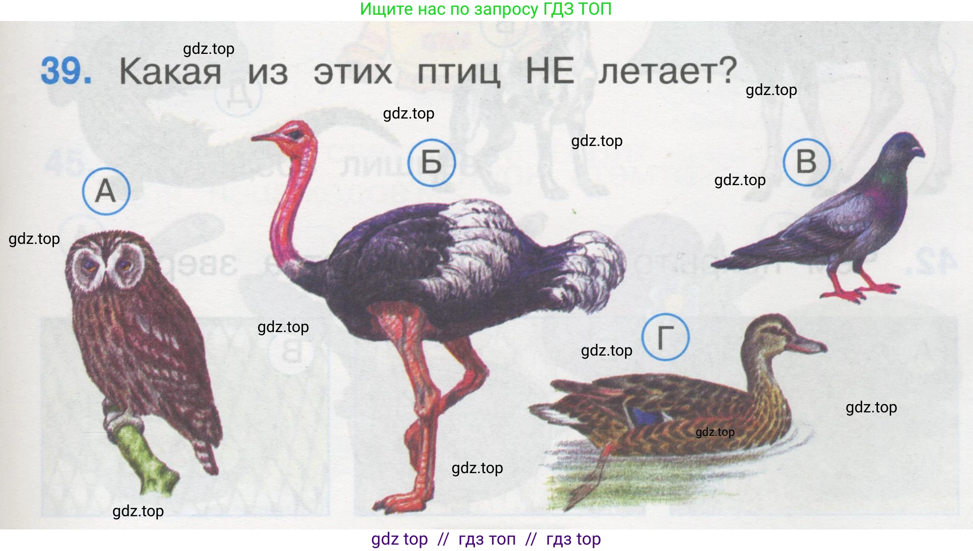 Окружающий мир, 1 класс Тесты, авторы: Плешаков Андрей Анатольевич, Гара Наталья Николаевна, Назарова З Д, издательство Просвещение, Москва, 2015, белого цвета, страница 15, номер 39, Условие