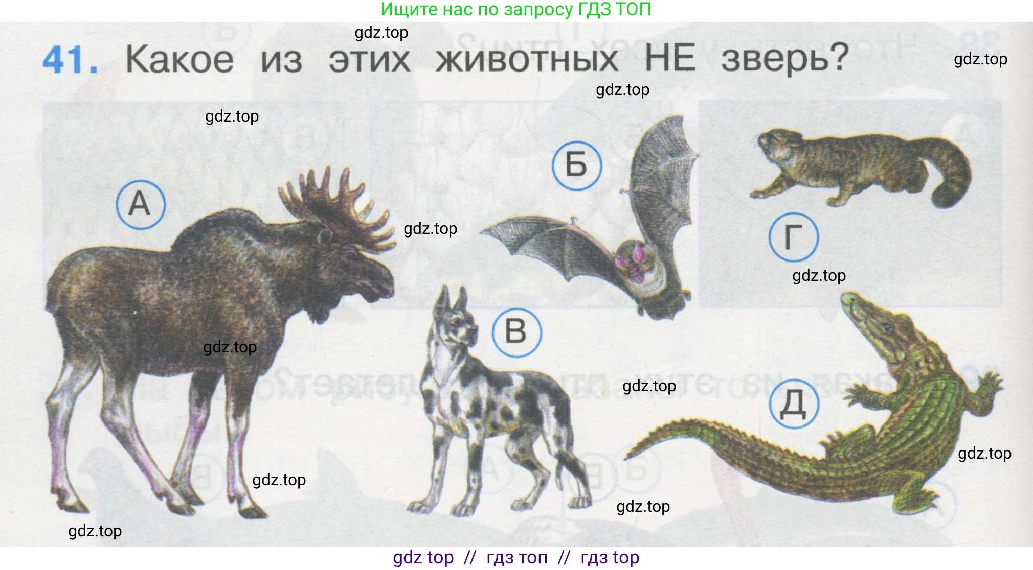 Окружающий мир, 1 класс Тесты, авторы: Плешаков Андрей Анатольевич, Гара Наталья Николаевна, Назарова З Д, издательство Просвещение, Москва, 2015, белого цвета, страница 16, номер 41, Условие