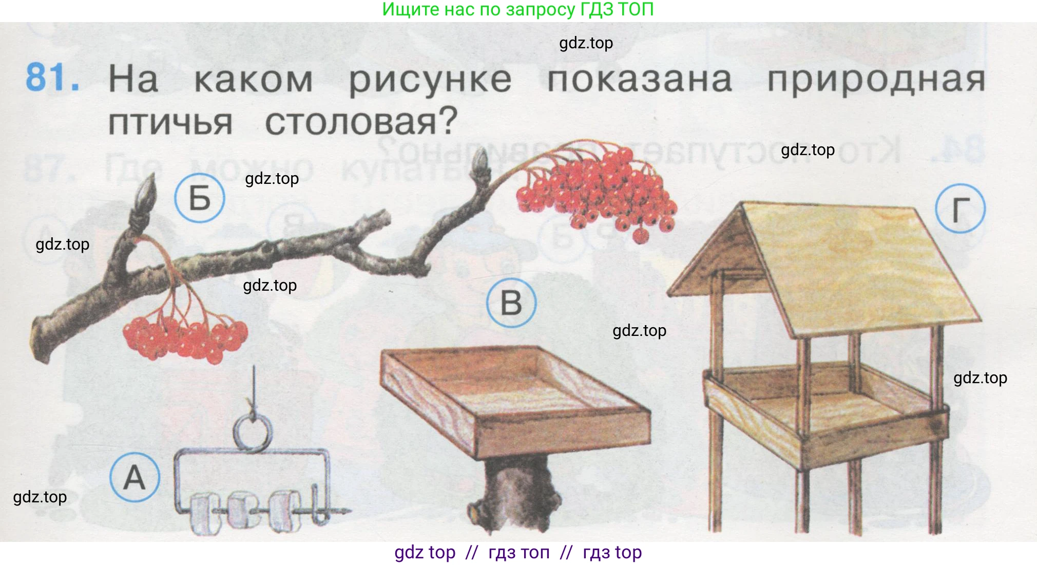 Окружающий мир, 1 класс Тесты, авторы: Плешаков Андрей Анатольевич, Гара Наталья Николаевна, Назарова З Д, издательство Просвещение, Москва, 2015, белого цвета, страница 29, номер 81, Условие