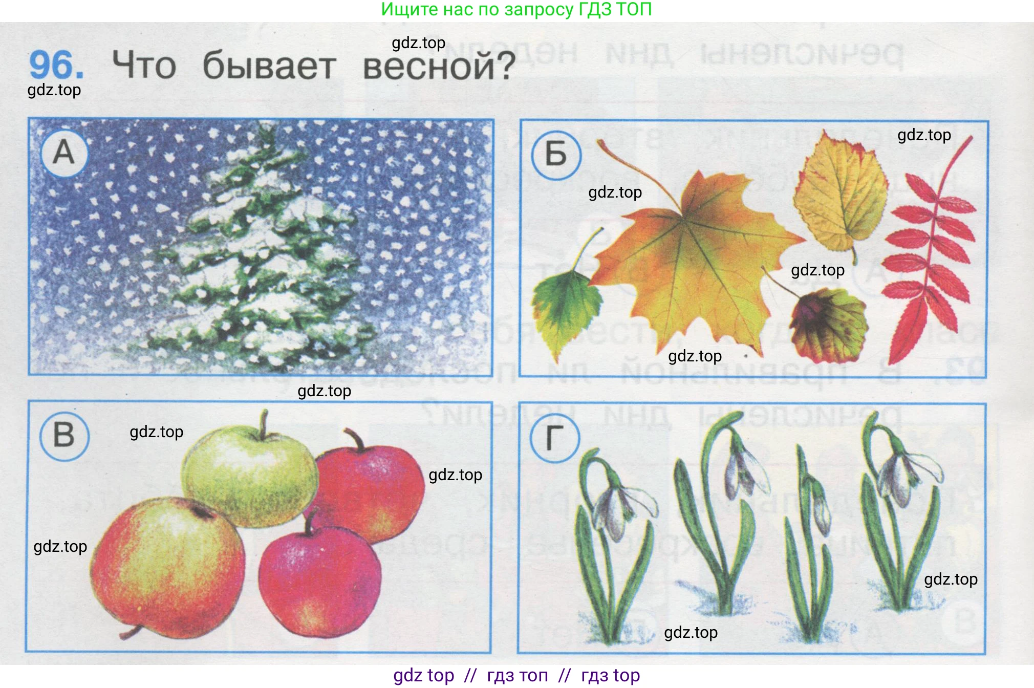 Окружающий мир, 1 класс Тесты, авторы: Плешаков Андрей Анатольевич, Гара Наталья Николаевна, Назарова З Д, издательство Просвещение, Москва, 2015, белого цвета, страница 34, номер 96, Условие
