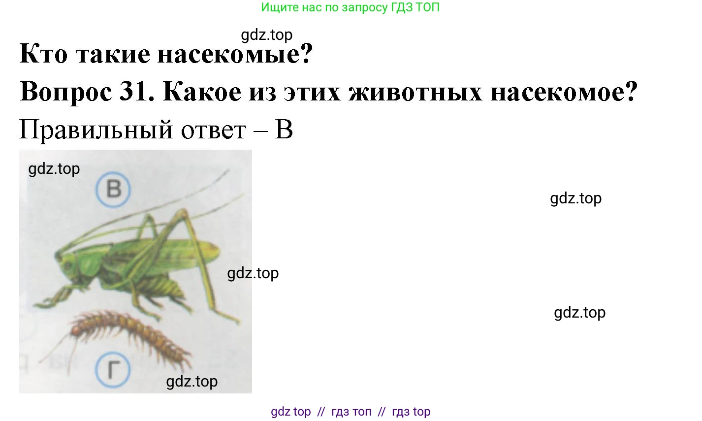 Окружающий мир, 1 класс Тесты, авторы: Плешаков Андрей Анатольевич, Гара Наталья Николаевна, Назарова З Д, издательство Просвещение, Москва, 2015, белого цвета, страница 13, номер 31, Решение