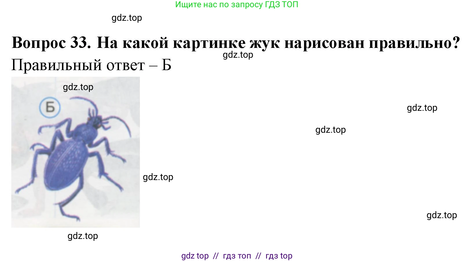 Окружающий мир, 1 класс Тесты, авторы: Плешаков Андрей Анатольевич, Гара Наталья Николаевна, Назарова З Д, издательство Просвещение, Москва, 2015, белого цвета, страница 13, номер 33, Решение