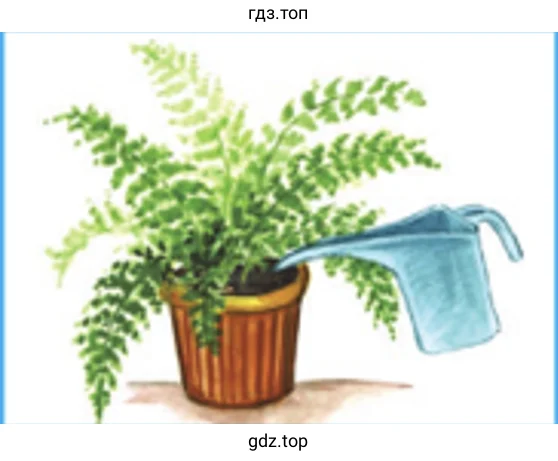 Назовите этих насекомых