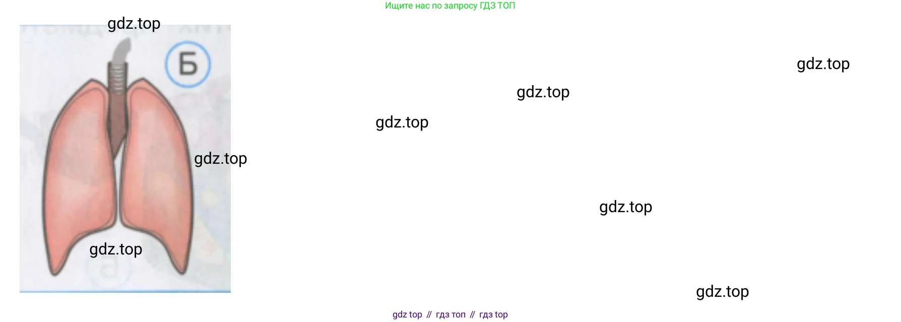 Окружающий мир, 2 класс Тесты, авторы: Плешаков Андрей Анатольевич, Гара Наталья Николаевна, Назарова З Д, издательство Просвещение, Москва, 2015, белого цвета, страница 43, номер 119, Решение (продолжение 2)