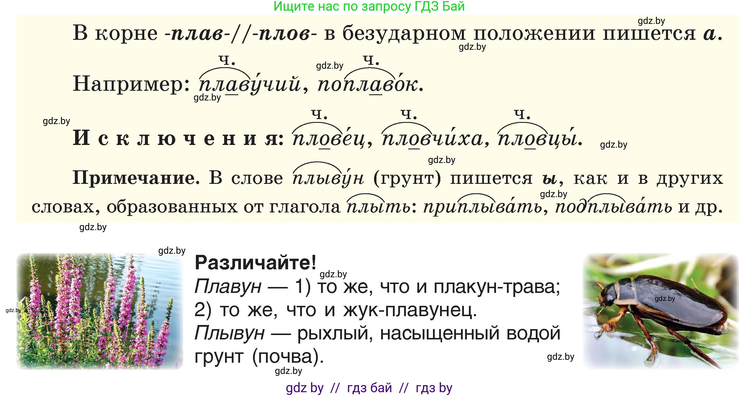 Русский язык, 6 класс Учебник, авторы: Мурина Лариса Александровна, Игнатович Татьяна Владимировна, Жадейко Жанна Фёдоровна, издательство Национальный институт образования, Минск, 2020, страница 71, номер 152, Условие (продолжение 2)
