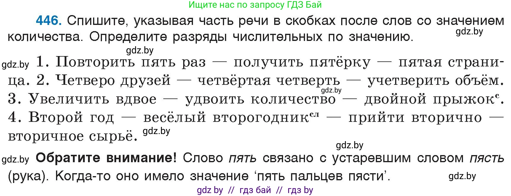 Русский язык, 6 класс Учебник, авторы: Мурина Лариса Александровна, Игнатович Татьяна Владимировна, Жадейко Жанна Фёдоровна, издательство Национальный институт образования, Минск, 2020, страница 199, номер 446, Условие