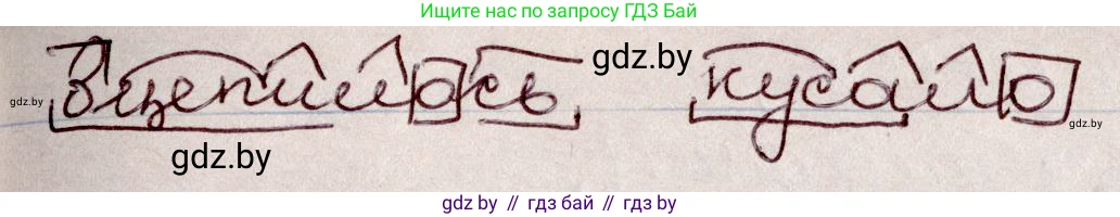 Русский язык, 6 класс Учебник, авторы: Мурина Лариса Александровна, Игнатович Татьяна Владимировна, Жадейко Жанна Фёдоровна, издательство Национальный институт образования, Минск, 2020, страница 68, номер 142, Решение 2 (продолжение 2)