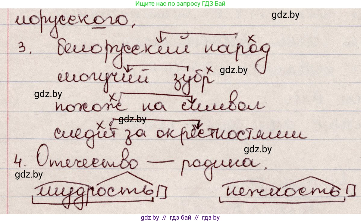 Русский язык, 6 класс Учебник, авторы: Мурина Лариса Александровна, Игнатович Татьяна Владимировна, Жадейко Жанна Фёдоровна, издательство Национальный институт образования, Минск, 2020, страница 3, номер 2, Решение 2 (продолжение 2)