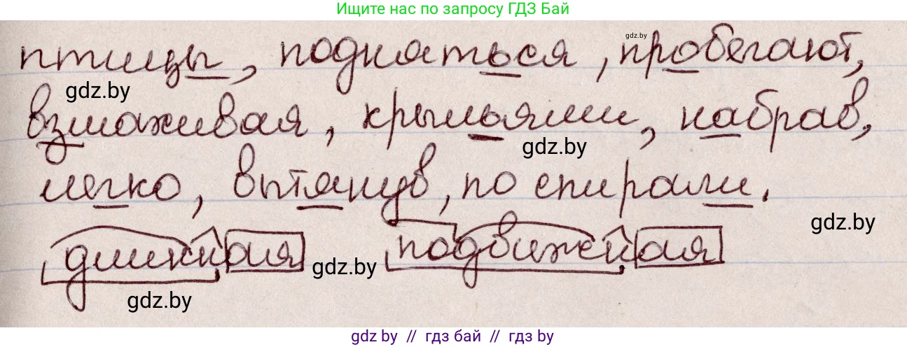 Русский язык, 6 класс Учебник, авторы: Мурина Лариса Александровна, Игнатович Татьяна Владимировна, Жадейко Жанна Фёдоровна, издательство Национальный институт образования, Минск, 2020, страница 28, номер 46, Решение 2 (продолжение 2)