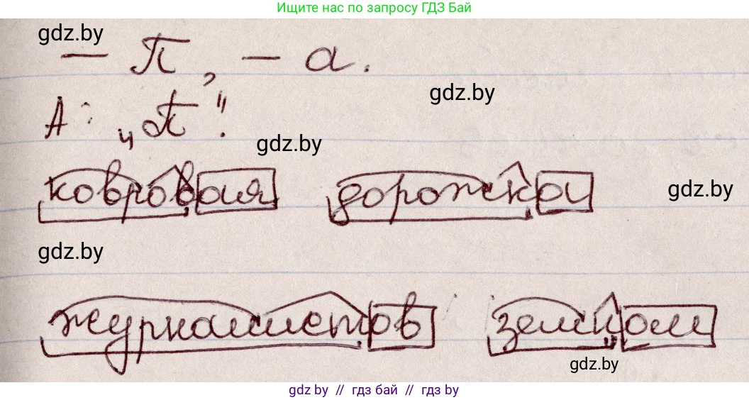 Русский язык, 6 класс Учебник, авторы: Мурина Лариса Александровна, Игнатович Татьяна Владимировна, Жадейко Жанна Фёдоровна, издательство Национальный институт образования, Минск, 2020, страница 30, номер 49, Решение 2 (продолжение 2)