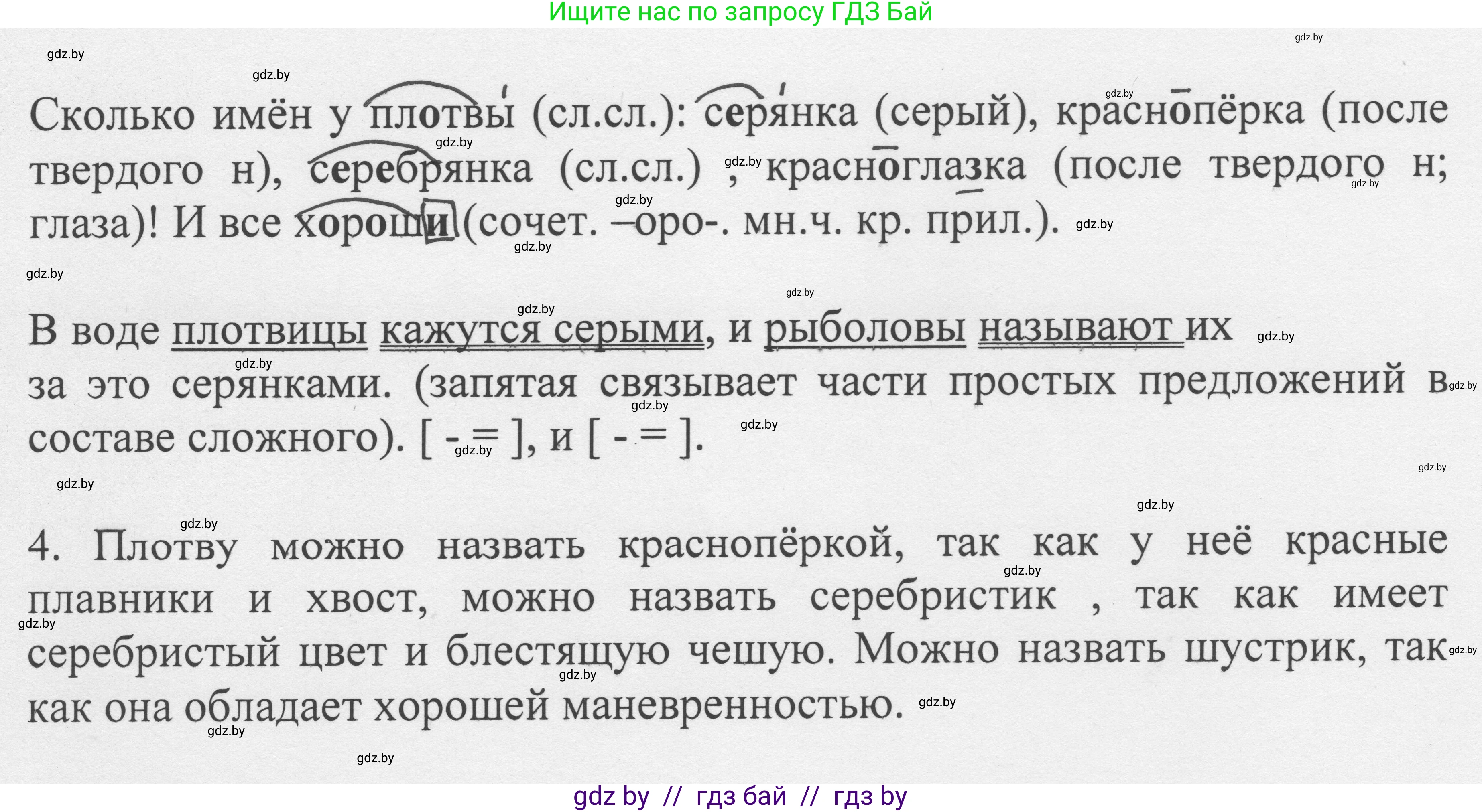 Русский язык, 6 класс Учебник, авторы: Мурина Лариса Александровна, Игнатович Татьяна Владимировна, Жадейко Жанна Фёдоровна, издательство Национальный институт образования, Минск, 2020, страница 66, номер 135, Решение 1 (продолжение 2)
