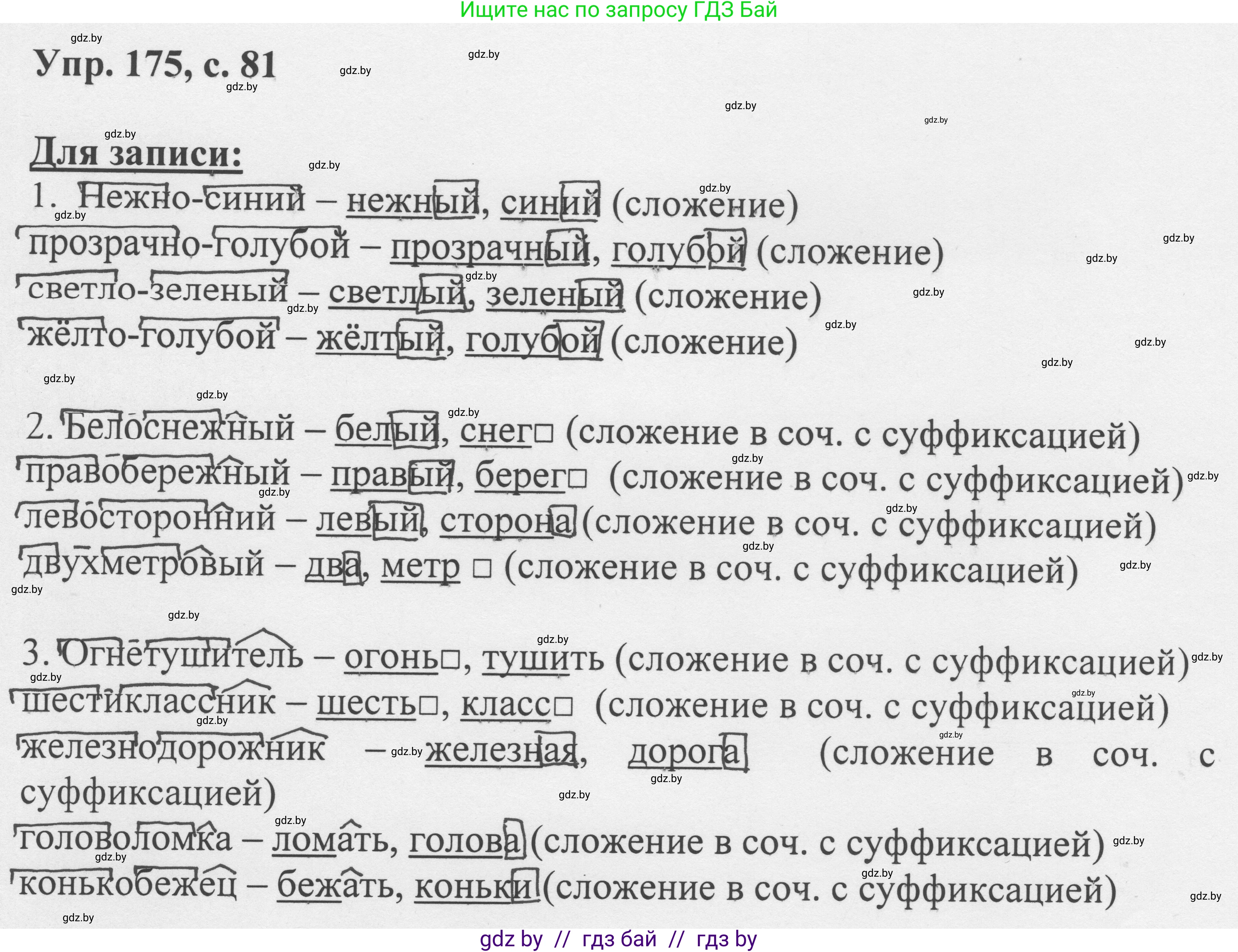 Русский язык, 6 класс Учебник, авторы: Мурина Лариса Александровна, Игнатович Татьяна Владимировна, Жадейко Жанна Фёдоровна, издательство Национальный институт образования, Минск, 2020, страница 81, номер 175, Решение 1
