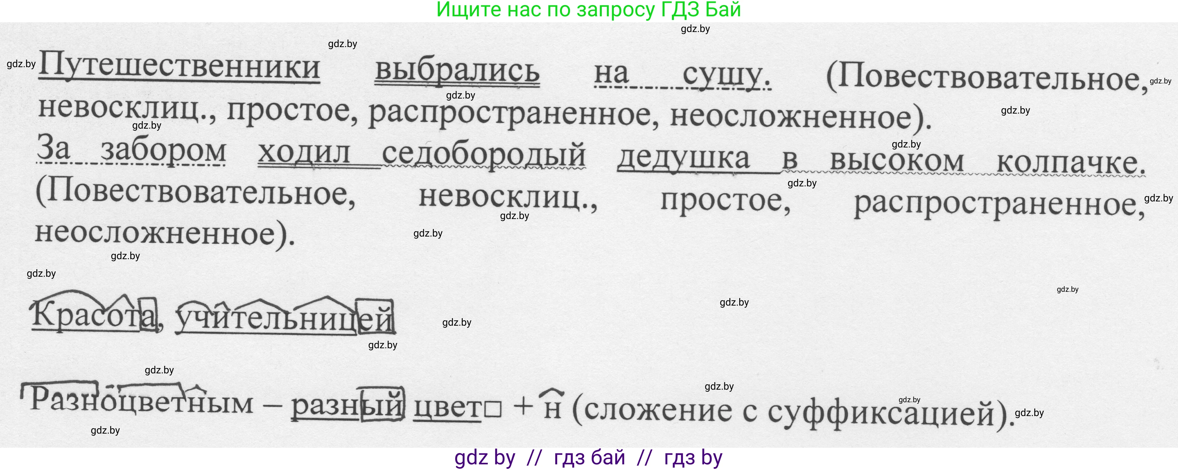 Русский язык, 6 класс Учебник, авторы: Мурина Лариса Александровна, Игнатович Татьяна Владимировна, Жадейко Жанна Фёдоровна, издательство Национальный институт образования, Минск, 2020, страница 96, номер 201, Решение 1 (продолжение 2)