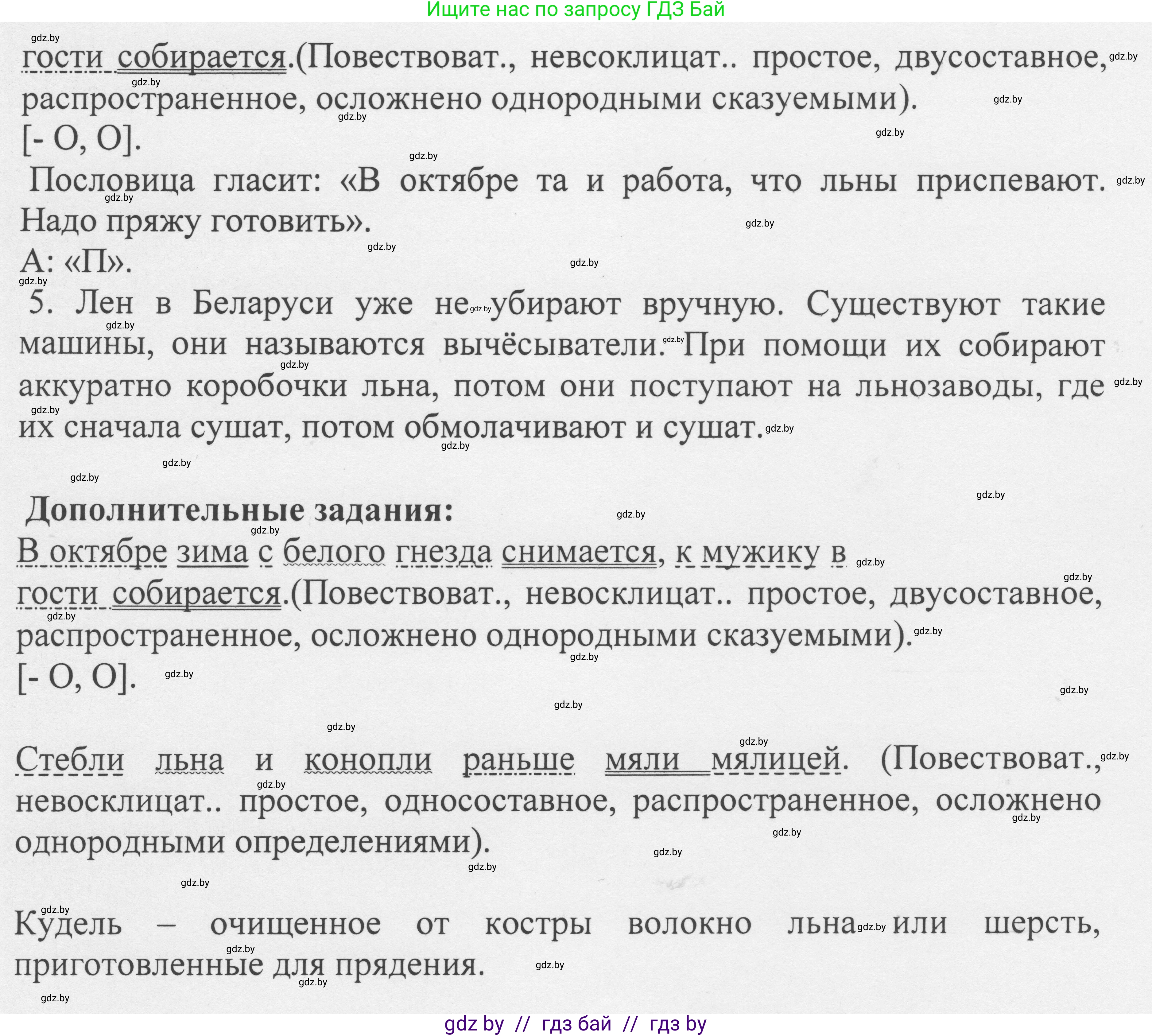 Русский язык, 6 класс Учебник, авторы: Мурина Лариса Александровна, Игнатович Татьяна Владимировна, Жадейко Жанна Фёдоровна, издательство Национальный институт образования, Минск, 2020, страница 98, номер 204, Решение 1 (продолжение 2)