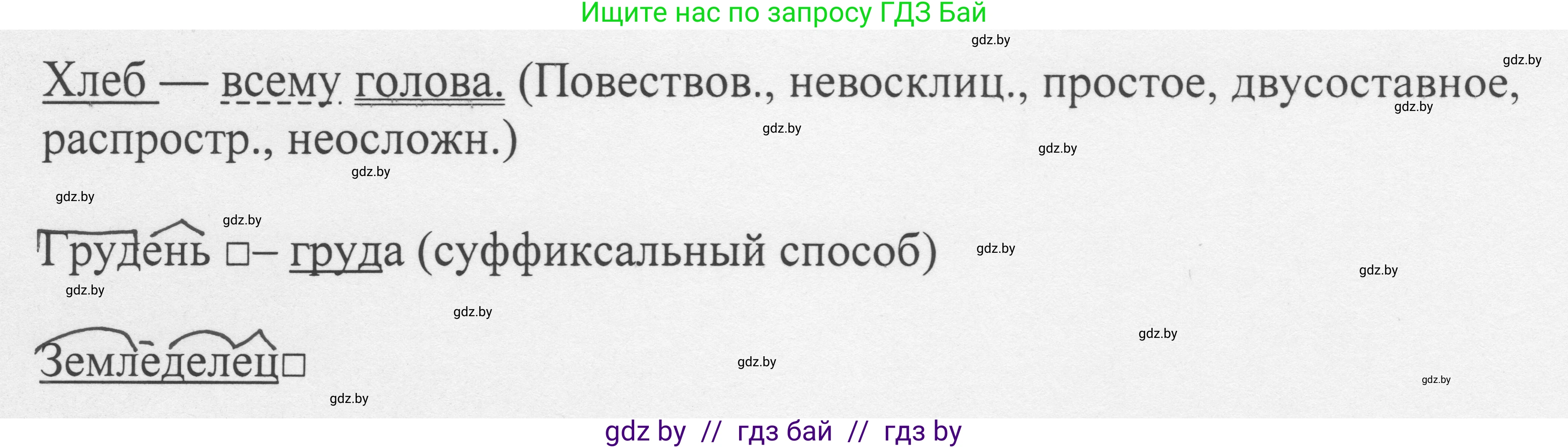 Русский язык, 6 класс Учебник, авторы: Мурина Лариса Александровна, Игнатович Татьяна Владимировна, Жадейко Жанна Фёдоровна, издательство Национальный институт образования, Минск, 2020, страница 99, номер 206, Решение 1 (продолжение 2)