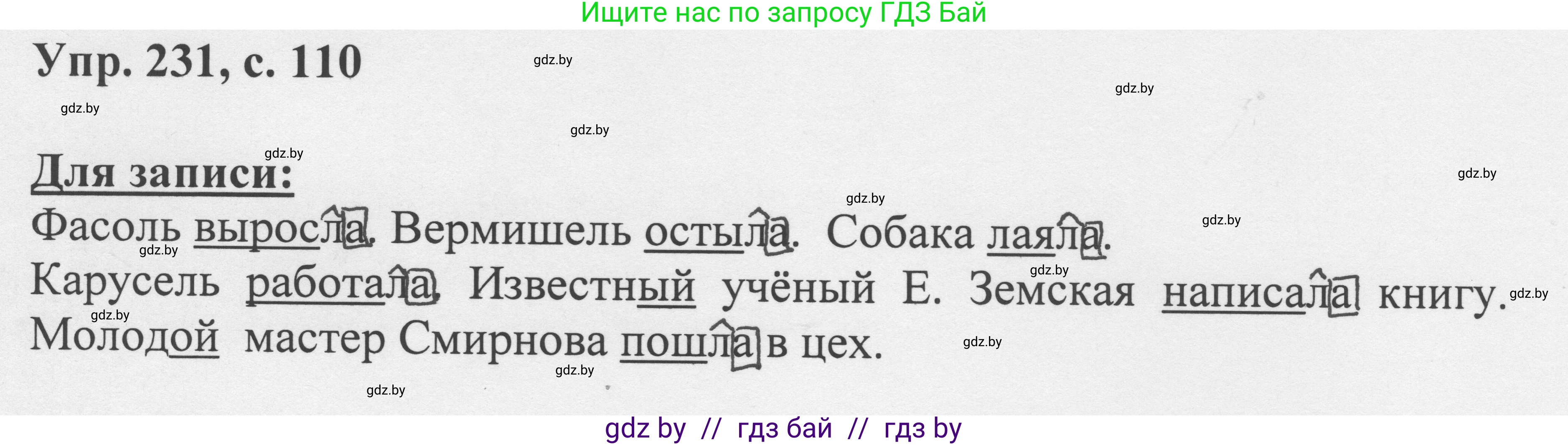 Русский язык, 6 класс Учебник, авторы: Мурина Лариса Александровна, Игнатович Татьяна Владимировна, Жадейко Жанна Фёдоровна, издательство Национальный институт образования, Минск, 2020, страница 110, номер 231, Решение 1