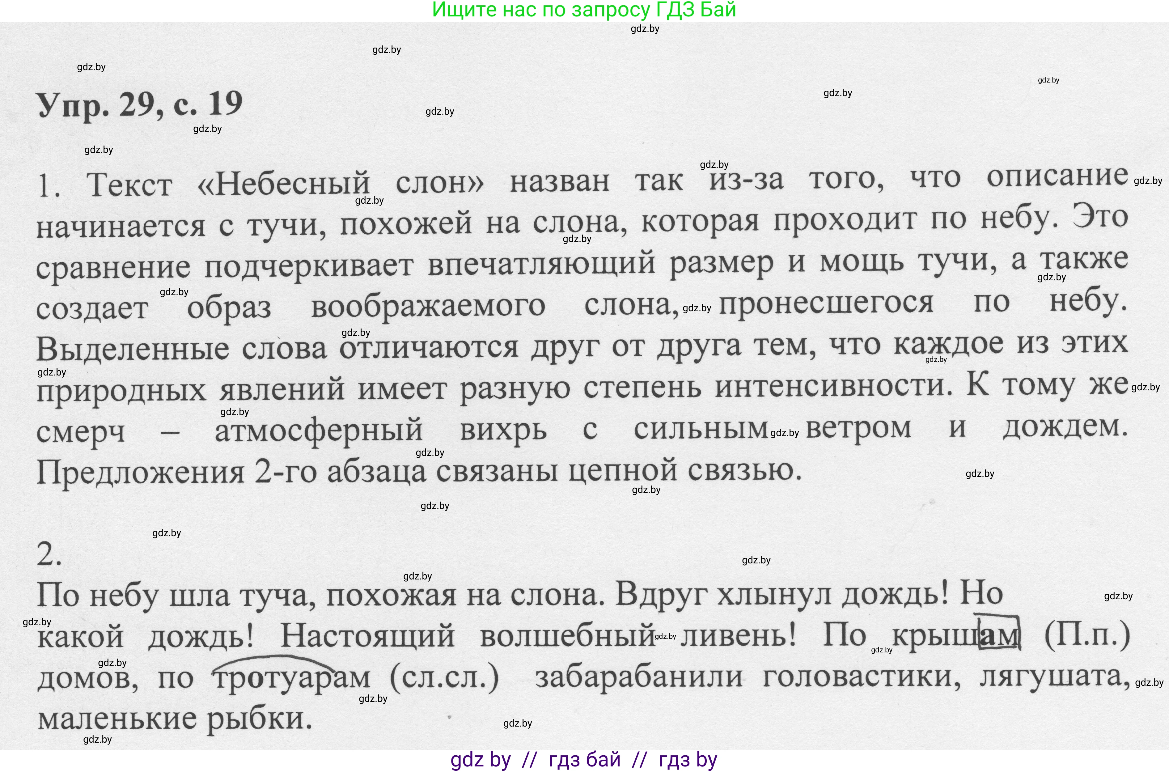 Русский язык, 6 класс Учебник, авторы: Мурина Лариса Александровна, Игнатович Татьяна Владимировна, Жадейко Жанна Фёдоровна, издательство Национальный институт образования, Минск, 2020, страница 19, номер 29, Решение 1