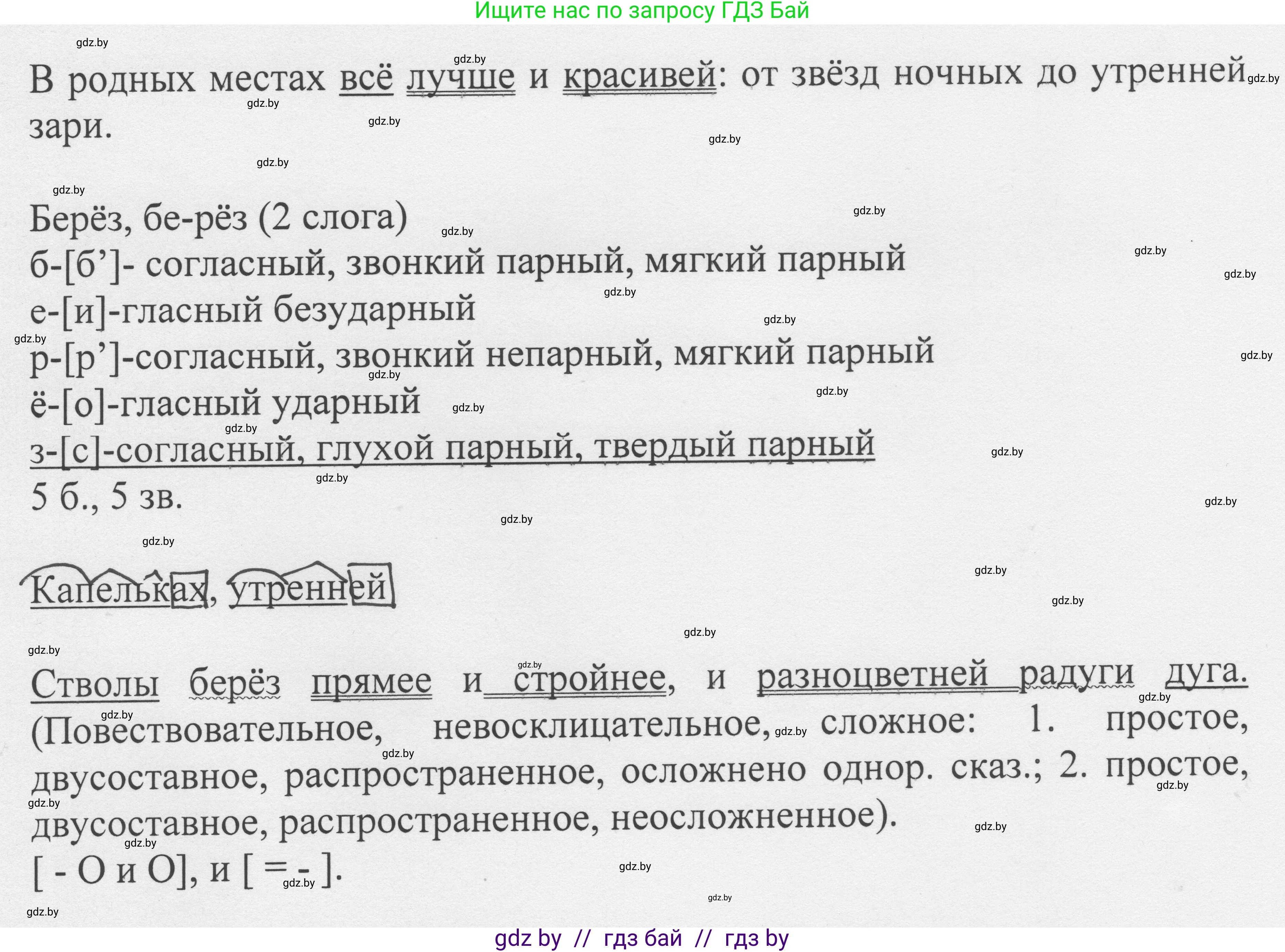 Русский язык, 6 класс Учебник, авторы: Мурина Лариса Александровна, Игнатович Татьяна Владимировна, Жадейко Жанна Фёдоровна, издательство Национальный институт образования, Минск, 2020, страница 174, номер 386, Решение 1 (продолжение 2)