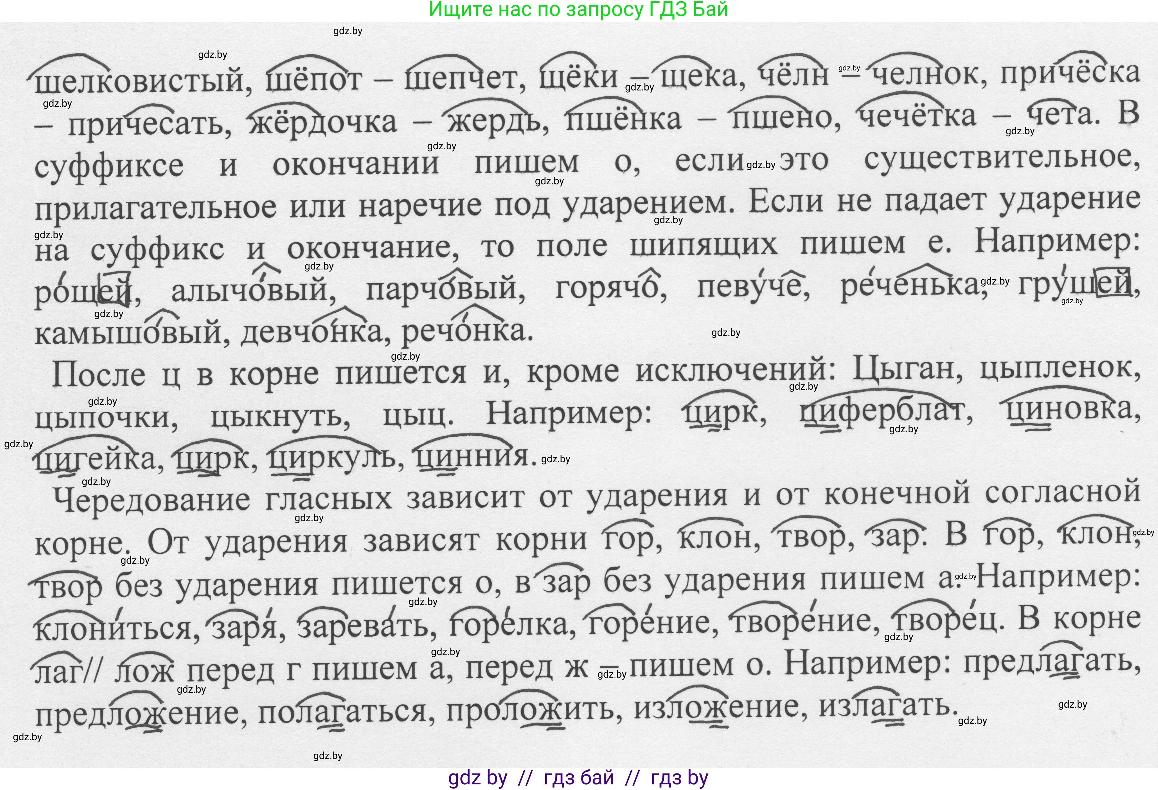 Русский язык, 6 класс Учебник, авторы: Мурина Лариса Александровна, Игнатович Татьяна Владимировна, Жадейко Жанна Фёдоровна, издательство Национальный институт образования, Минск, 2020, страница 49, номер 92, Решение 1 (продолжение 2)