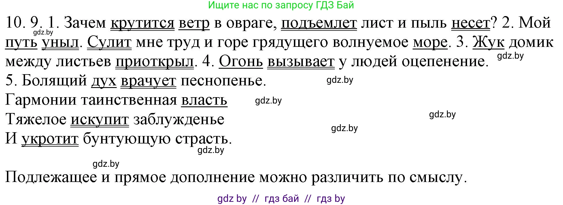 Русский язык, 11 класс Учебник, авторы: Долбик Елена Евгеньевна, Литвинко Франя Михайловна, Мурина Лариса Александровна, Шиманович Т В, Таяновская И В, Орловская О Я, издательство Национальный институт образования, Минск, 2021, страница 63, номер 10.9, Решение