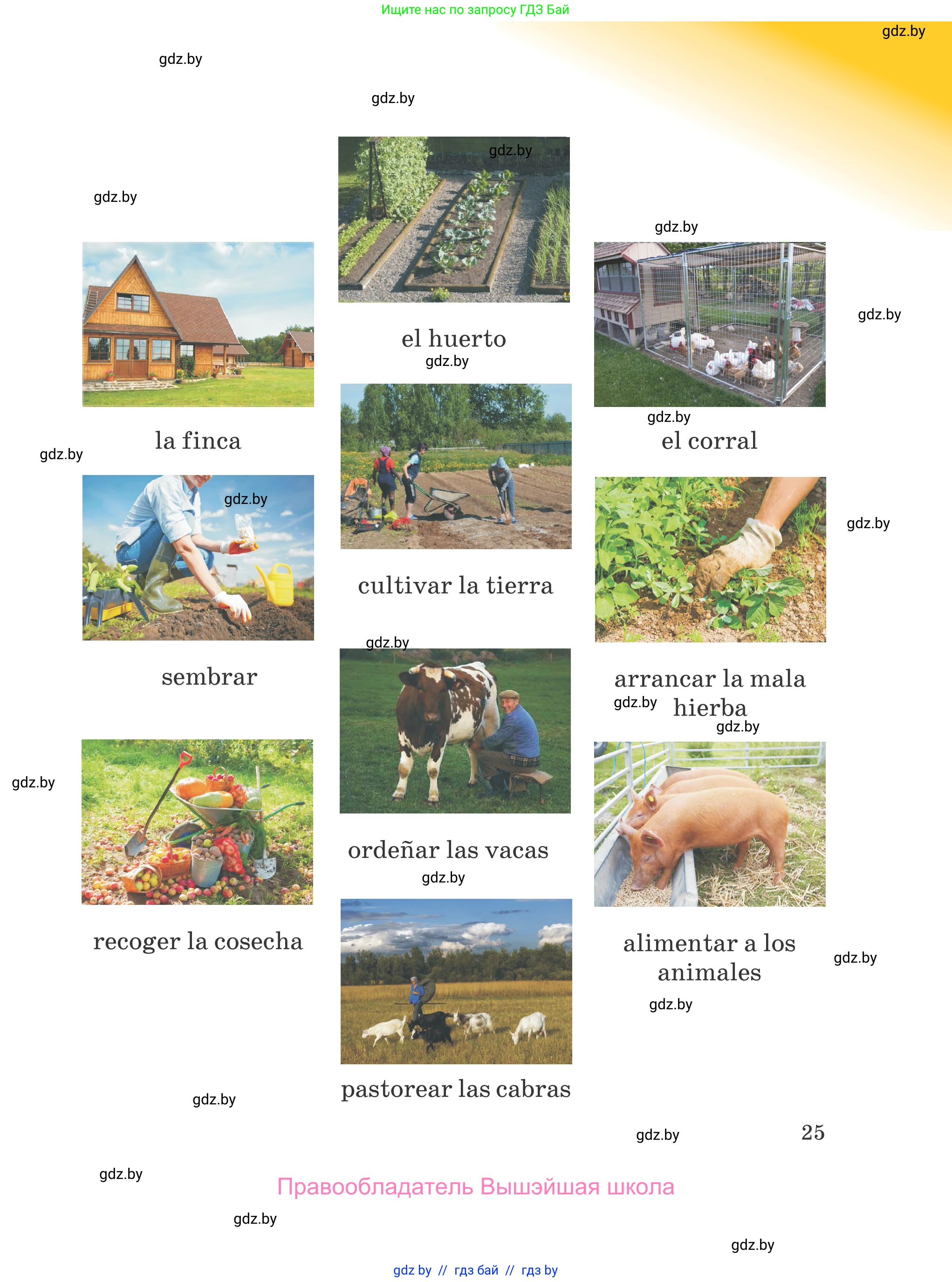 Испанский язык, 5 класс Учебник, авторы: Цыбулева Татьяна Эдуардовна, Пушкина Ольга Александровна, издательство Вышэйшая школа, Минск, 2017, оранжевого цвета, страница 25