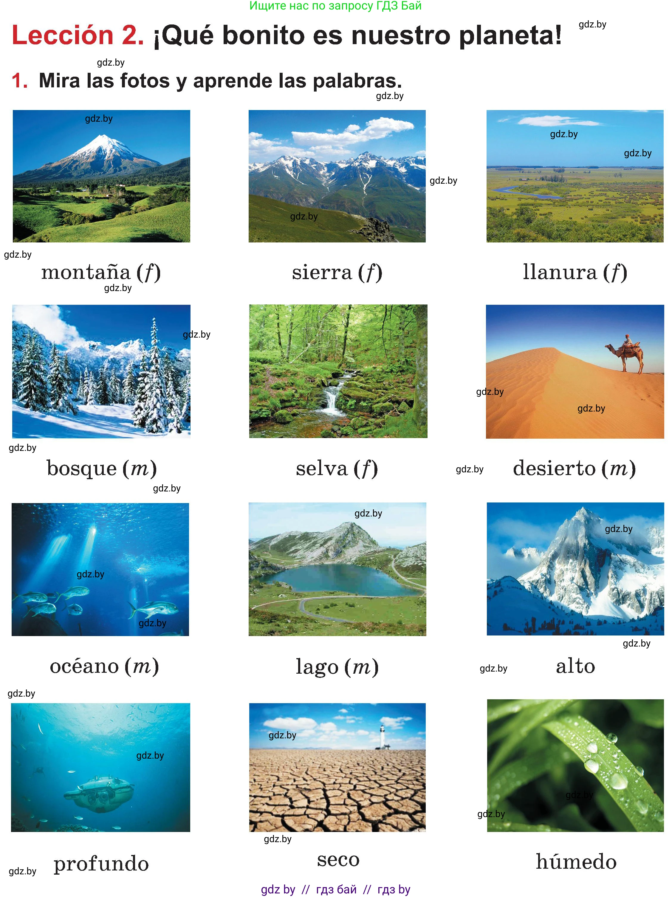 Испанский язык, 5 класс Учебник, авторы: Цыбулева Татьяна Эдуардовна, Пушкина Ольга Александровна, издательство Вышэйшая школа, Минск, 2017, оранжевого цвета, страница 16, номер 1, Условие