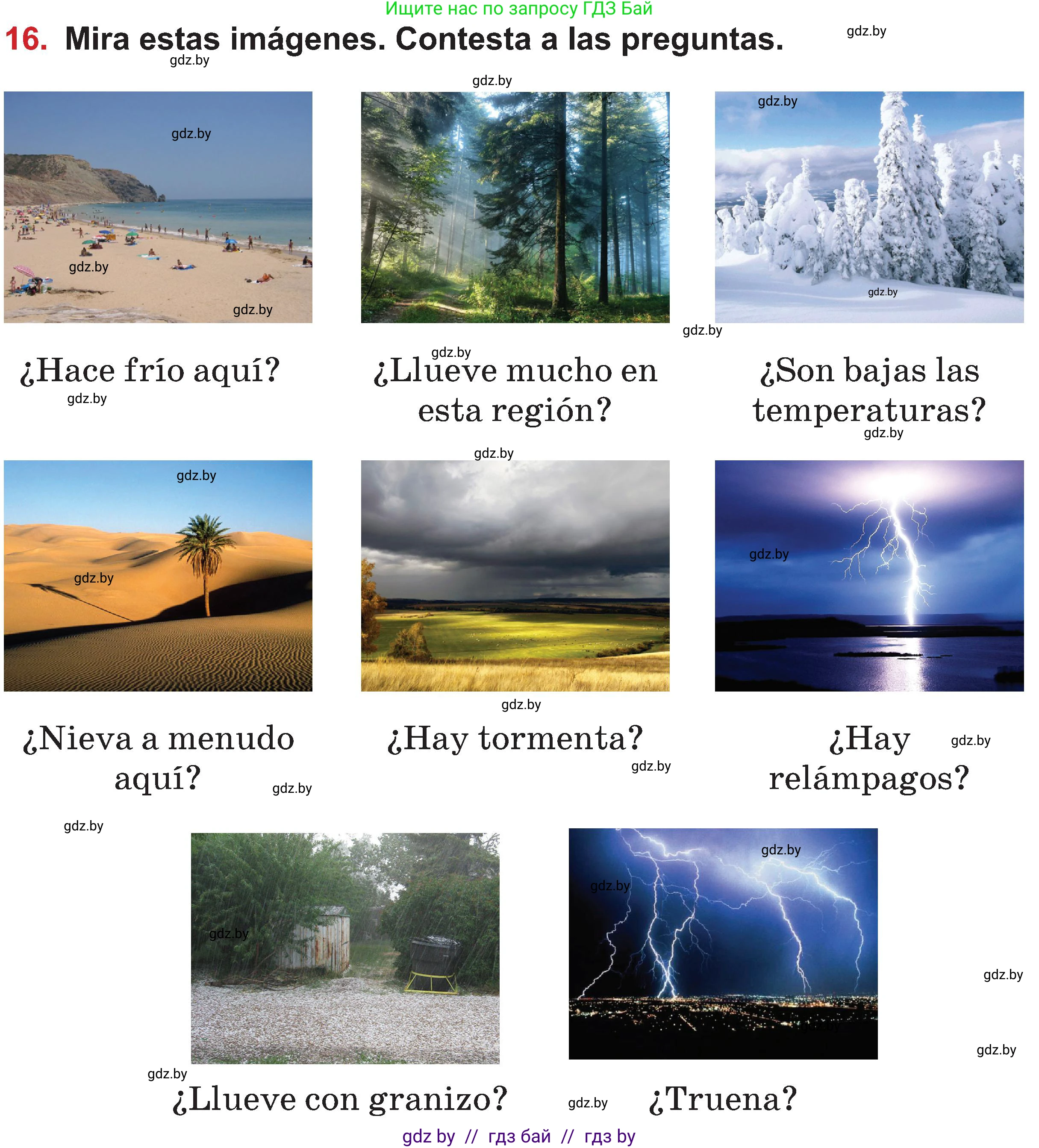 Испанский язык, 5 класс Учебник, авторы: Цыбулева Татьяна Эдуардовна, Пушкина Ольга Александровна, издательство Вышэйшая школа, Минск, 2017, оранжевого цвета, страница 25, номер 16, Условие