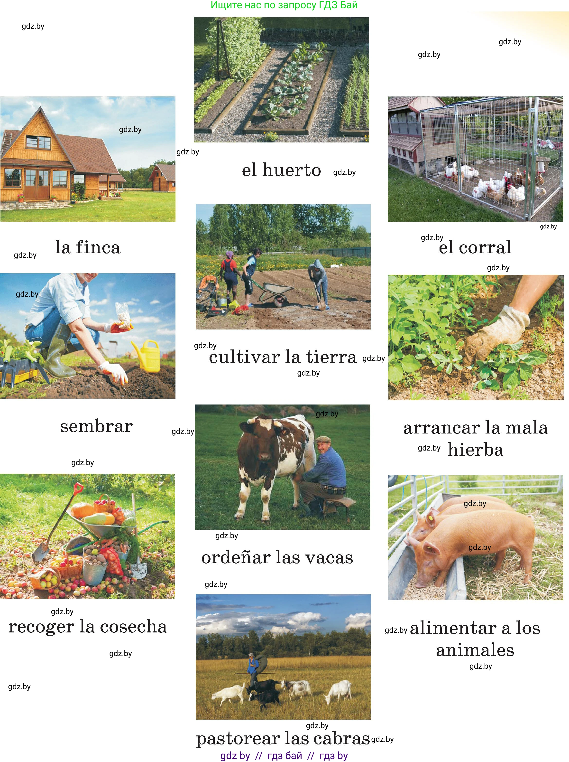 Испанский язык, 5 класс Учебник, авторы: Цыбулева Татьяна Эдуардовна, Пушкина Ольга Александровна, издательство Вышэйшая школа, Минск, 2017, оранжевого цвета, страница 24, номер 2, Условие (продолжение 2)