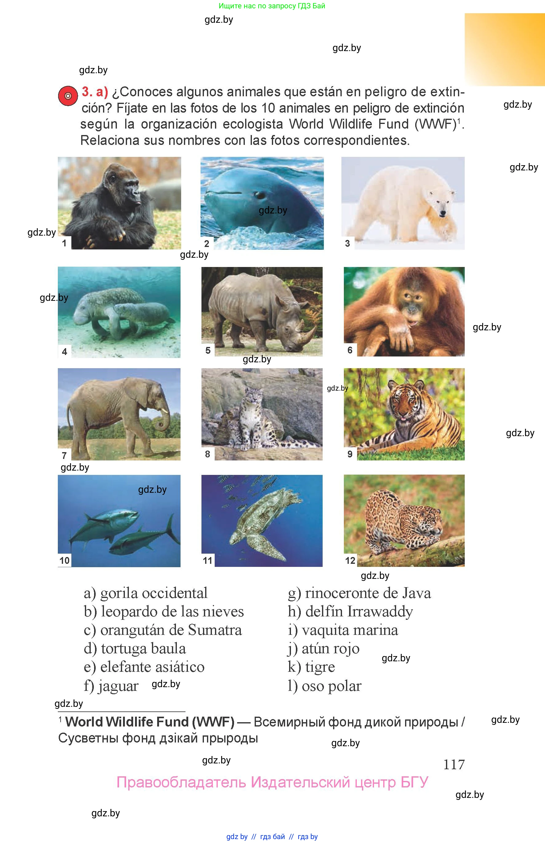 Испанский язык, 6 класс Учебник, авторы: Цыбулева Татьяна Эдуардовна, Пушкина Ольга Александровна, издательство Издательский центр БГУ, Минск, 2018, Часть 2, страница 117