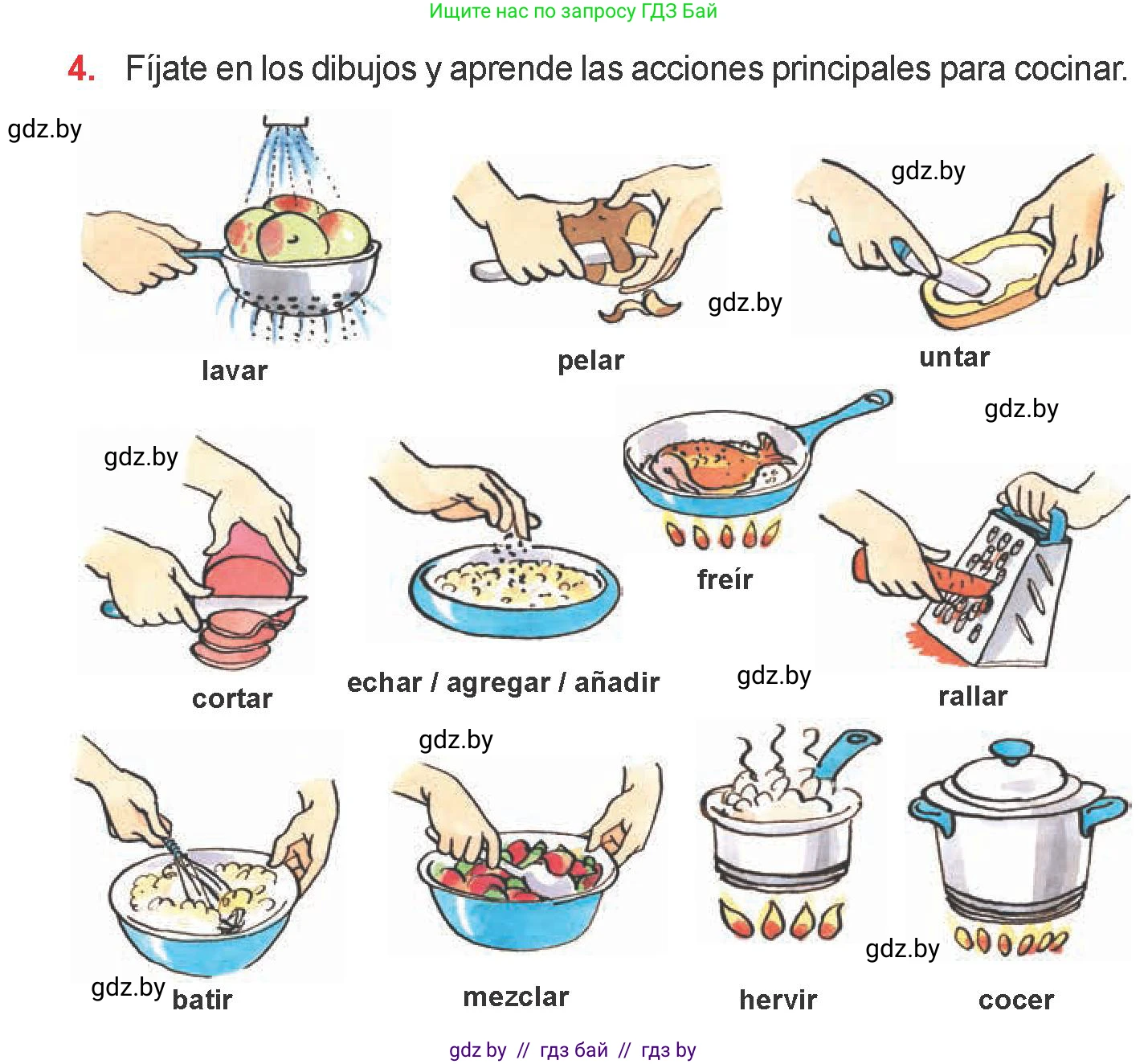 Испанский язык, 6 класс Учебник, авторы: Цыбулева Татьяна Эдуардовна, Пушкина Ольга Александровна, издательство Издательский центр БГУ, Минск, 2018, Часть 2, страница 36, номер 4, Условие