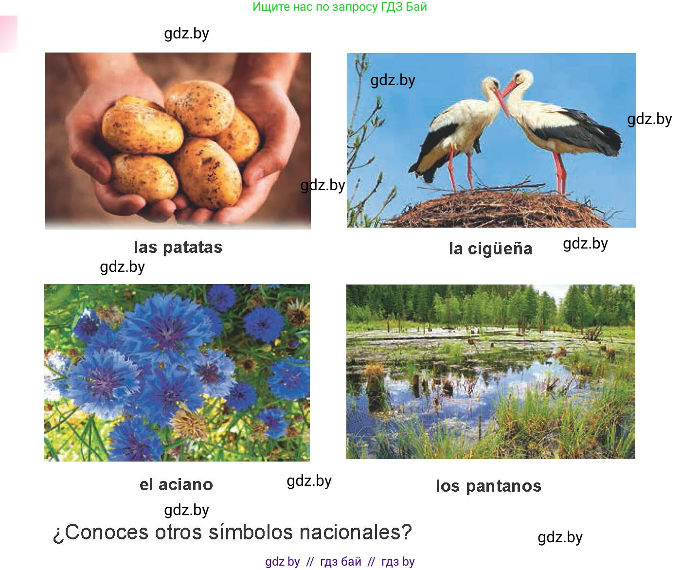 Испанский язык, 6 класс Учебник, авторы: Цыбулева Татьяна Эдуардовна, Пушкина Ольга Александровна, издательство Издательский центр БГУ, Минск, 2018, Часть 2, страница 93, номер 1, Условие (продолжение 2)