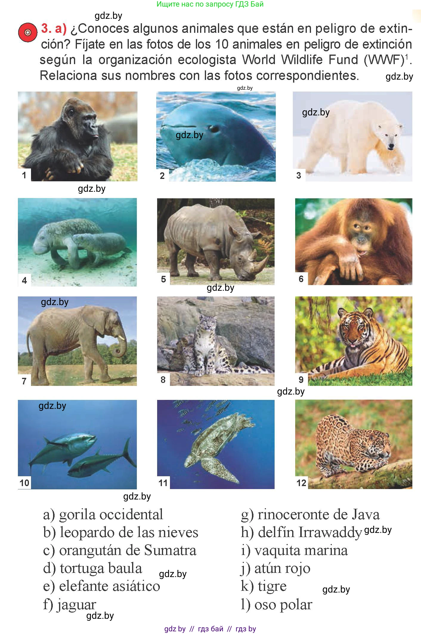 Испанский язык, 6 класс Учебник, авторы: Цыбулева Татьяна Эдуардовна, Пушкина Ольга Александровна, издательство Издательский центр БГУ, Минск, 2018, Часть 2, страница 117, номер 3, Условие
